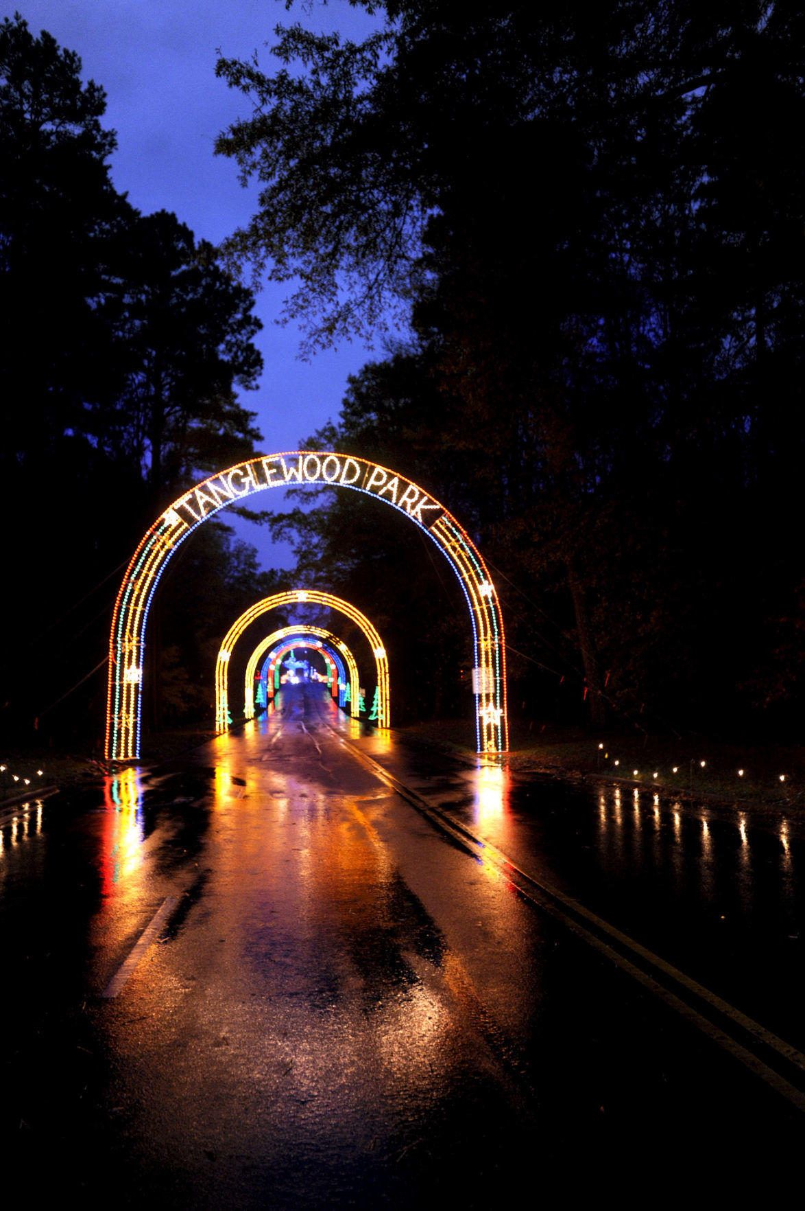 FESTIVAL OF LIGHTS 2009